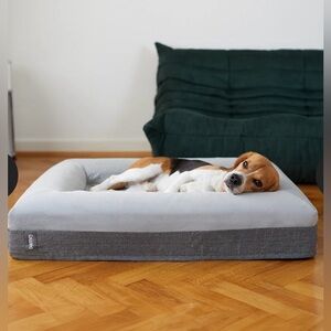 Barney Pet Bed - size medium